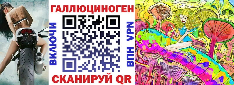 Псилоцибиновые грибы Psilocybe  Купить закладки  Малоархангельск 